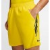 Шорты Nike 939265-731 "NikeCourt Dri-FIT"
