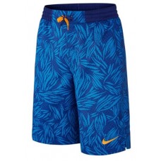 Шорты Nike 728318-455 "Allover Print"