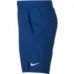 Шорты Nike AR2484-438 "NikeCourt Dri-FIT"