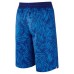 Шорты Nike 728318-455 "Allover Print"